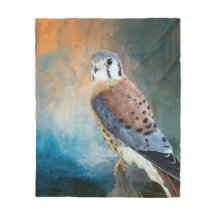 American Kestrel
