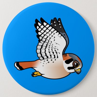American Kestrel in flight Button