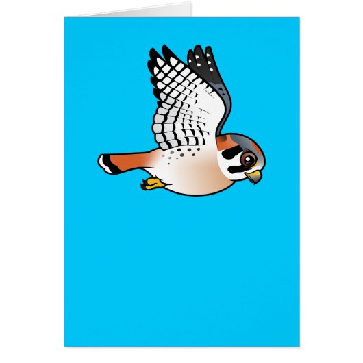 American Kestrel in flight Cards (Front)
