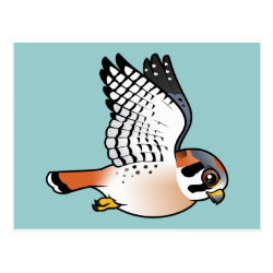 Flying American Kestrel Postcard