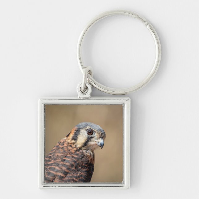 American Kestrel Keychain (Front)