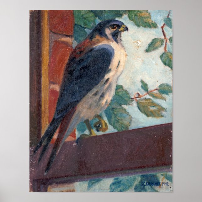 American Kestrel – Kulhanek Wildlife (1942) Poster (Front)