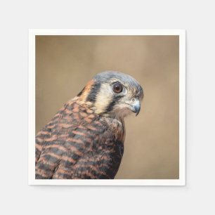 American Kestrel Napkins