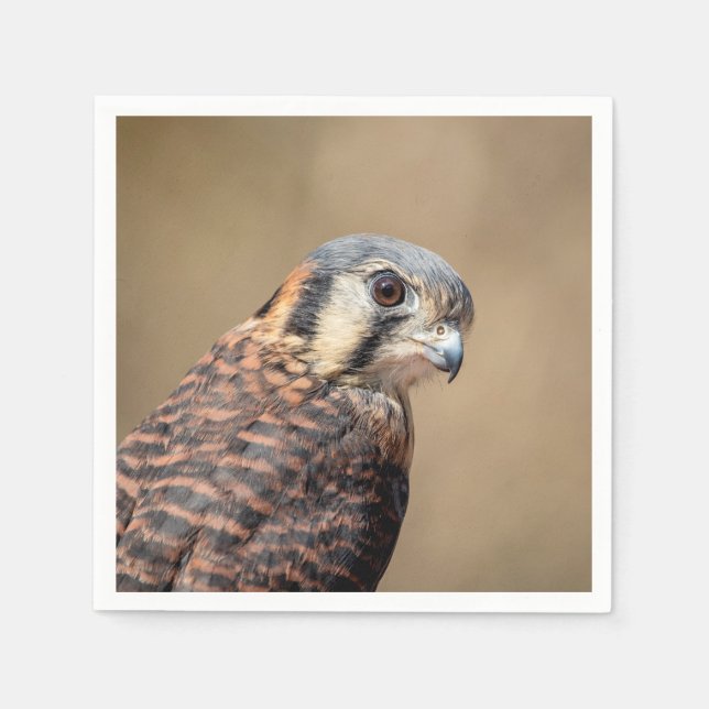 American Kestrel Napkins (Front)