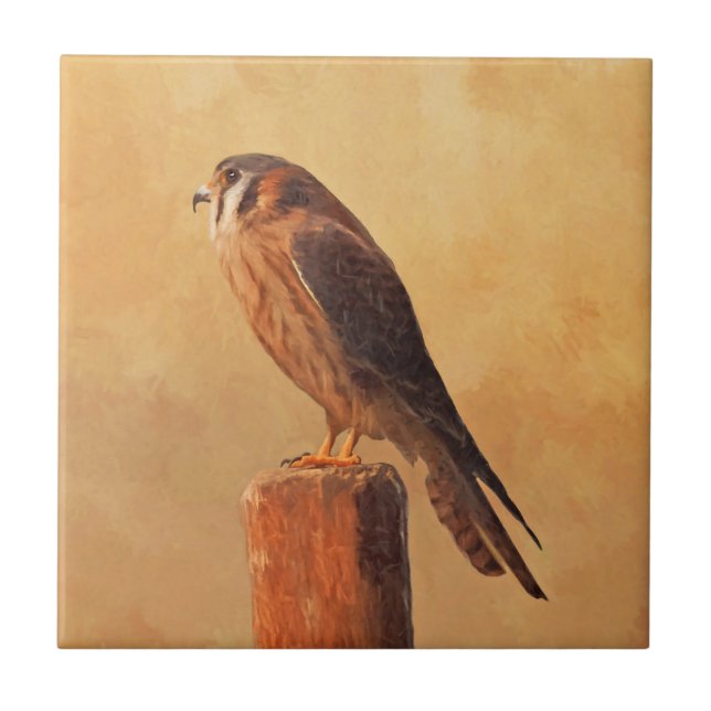 American Kestrel Painting - Original Bird Art Ceramic Tile (Front)