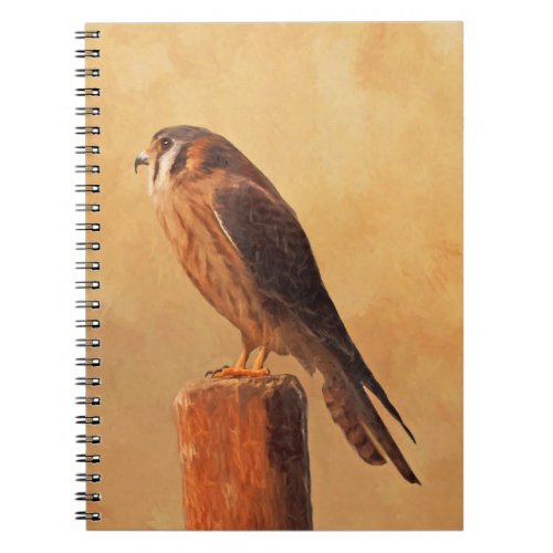 American Kestrel Painting _ Original Bird Art Notebook