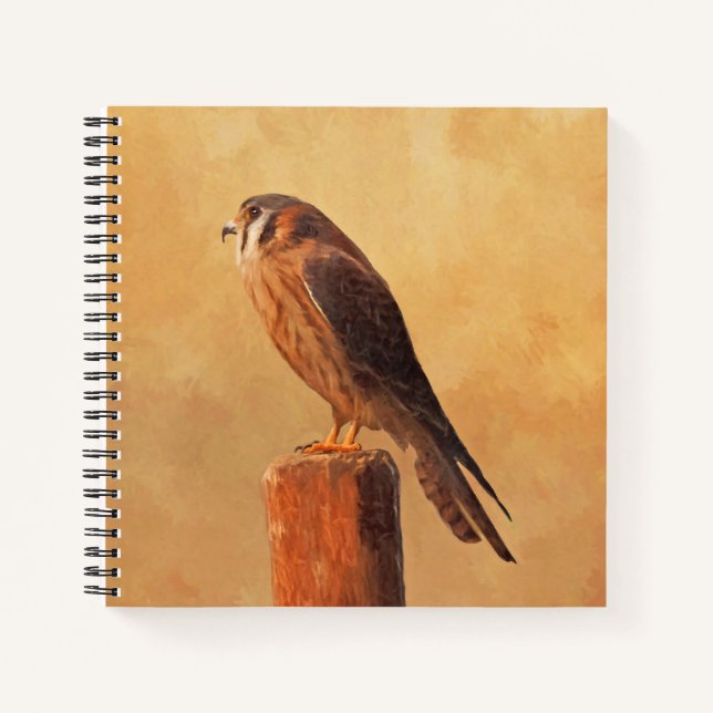 American Kestrel Painting - Original Bird Art Notebook (Front)