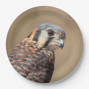American Kestrel Paper Plates