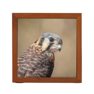 American Kestrel Pencil/Pen Holder