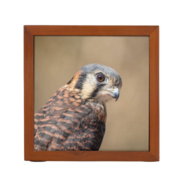 American Kestrel Pencil/Pen Holder (Front)