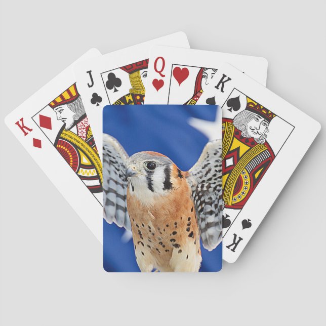 American Kestrel Poker Cards (Back)