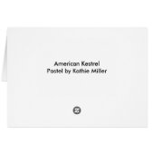 American Kestrel Portrait Cards (Back Horizontal)