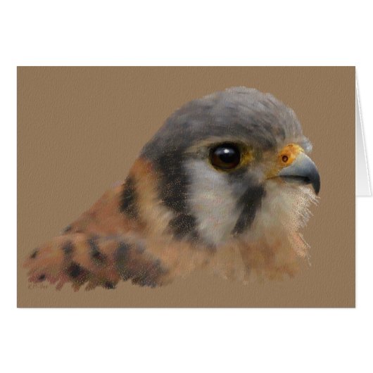 American Kestrel Portrait Cards (Front Horizontal)