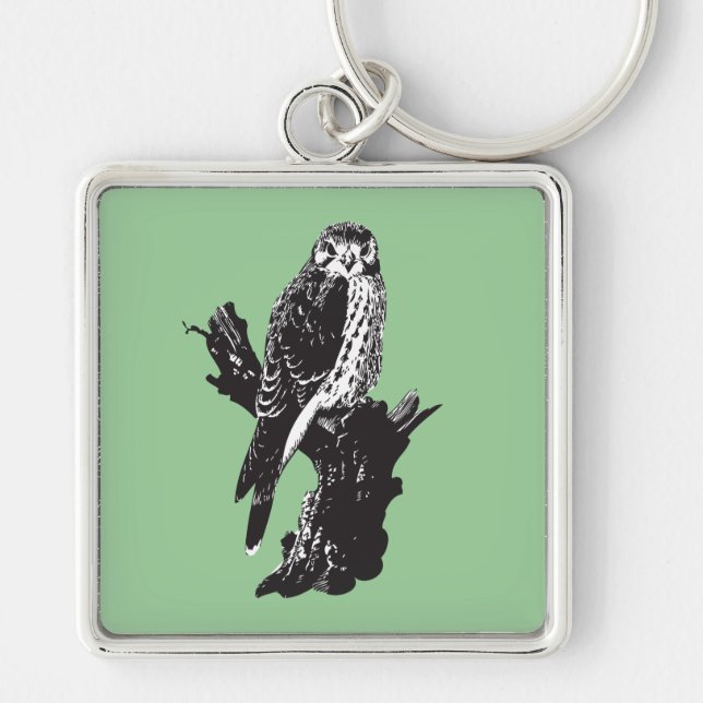 American Kestrel Sketch Keychain (Front)
