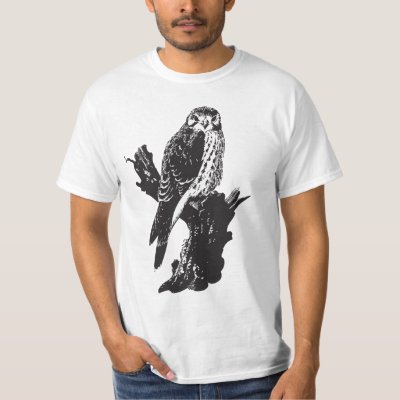 American Kestrel Sketch T-Shirt