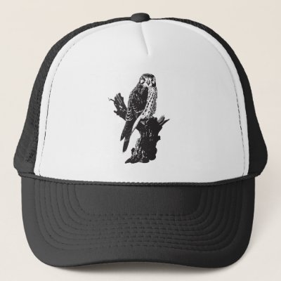 American Kestrel Sketch Trucker Hat