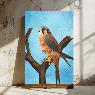 American Kestrel Watercolor Bird Art Canvas Print