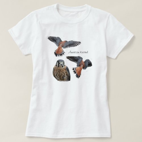 American Kestrel Womans Tee Shirt