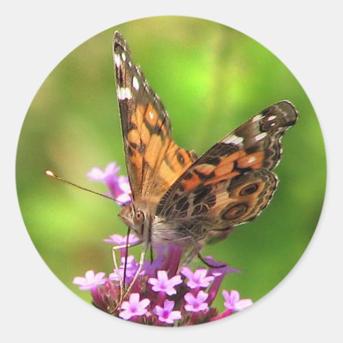 American Lady Butterfly Classic Round Sticker