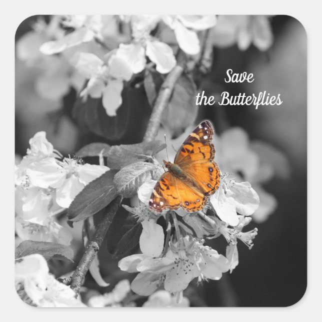 American Lady Butterfly On Apple Blossom Stickers (Front)