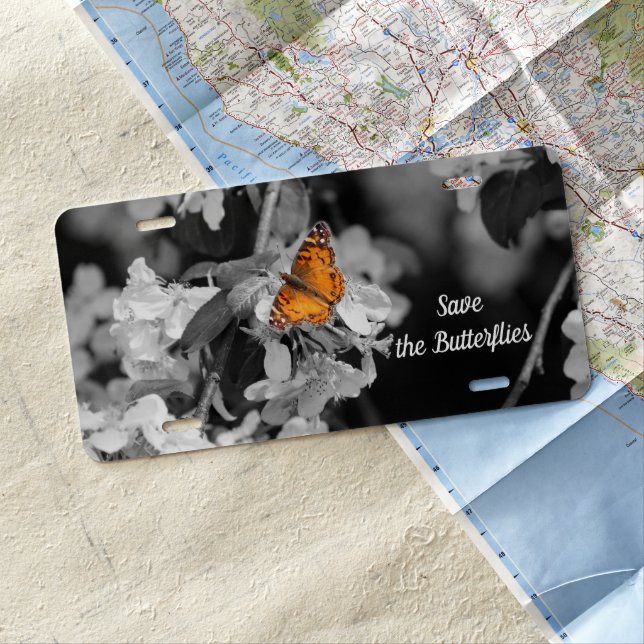 American Lady Butterfly On Blossom License Plate (In Situ)