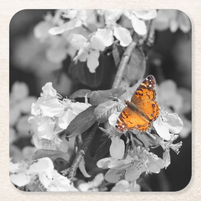 American Lady Butterfly On Blossom Paper Coaster (Front)