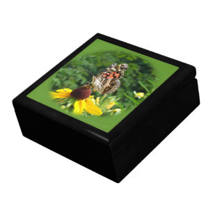 American Lady Butterfly - Vanessa virginiensis Jewelry Box