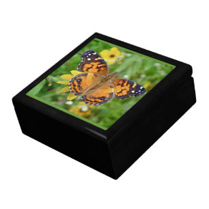American Lady Butterfly - Vanessa virginiensis Jewelry Box