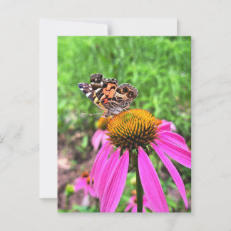 American Lady Postcard