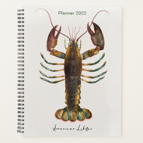 American Lobster by James Ellsworth De Kay Maine Planner