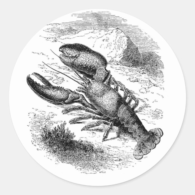 American Lobster Classic Round Sticker (Front)