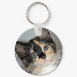 American Longhair Calico Shelter Kitten Keychain