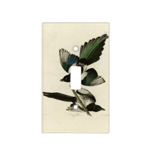 American Magpie from Audubon's Birds of America Light Switch Cover