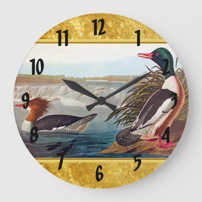 American mallard ducks in a lake swimming large clock (Front)