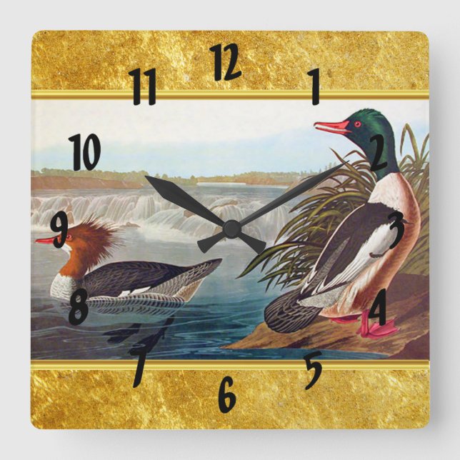 American mallard ducks in a lake swimming square wall clock (Front)