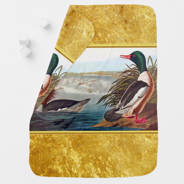 American mallard ducks in a river swimming baby blanket (In Situ)