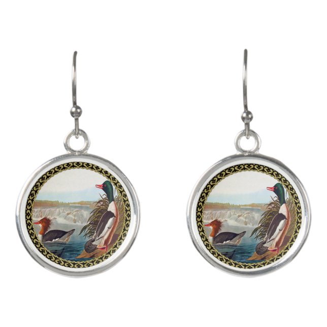 American mallard ducks in a river swimming earrings (Front)