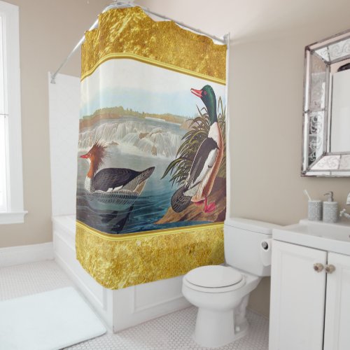 American mallard ducks in a river swimming shower curtain