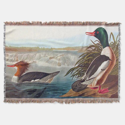 American mallard ducks in a river swimming throw blanket