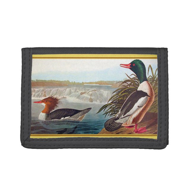 American mallard ducks in a river swimming tri-fold wallet (Front)