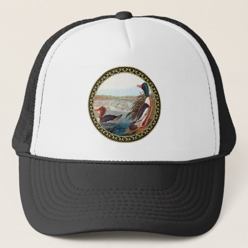 American mallard ducks in a river swimming trucker hat