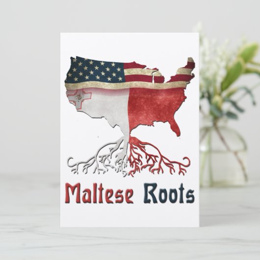 American Maltese Roots (Standing Front)