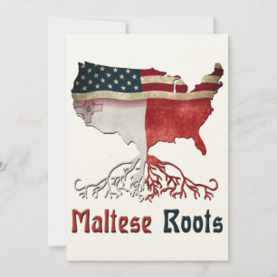 American Maltese Roots