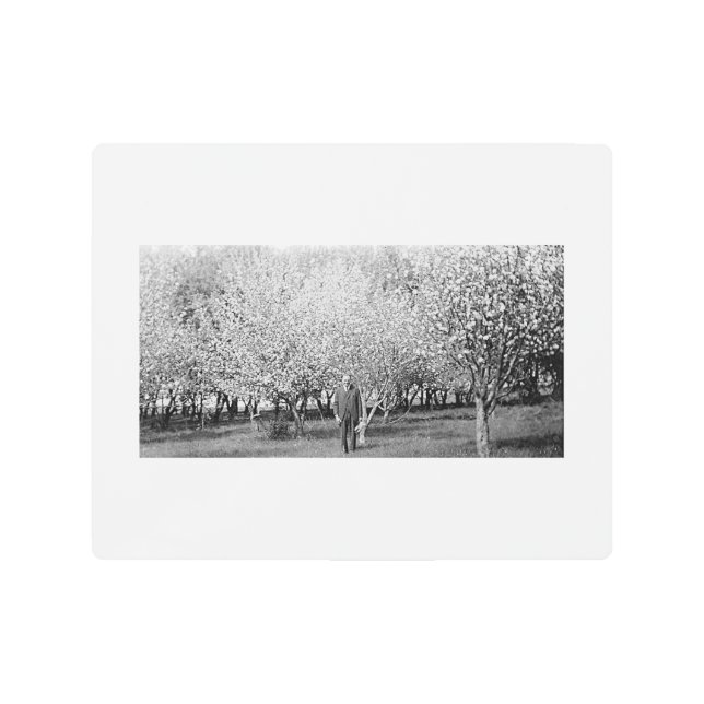 American Man Standing in Orchard 10x8 Metal Print (Front)