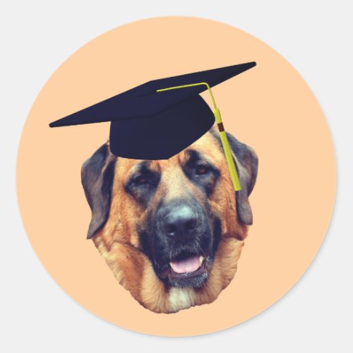 American  Mastiff Dog Graduation Cap Classic Round Sticker