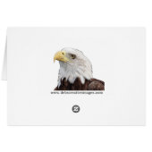 American Mink (Back Horizontal)