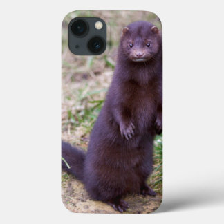 American Mink iPad Case