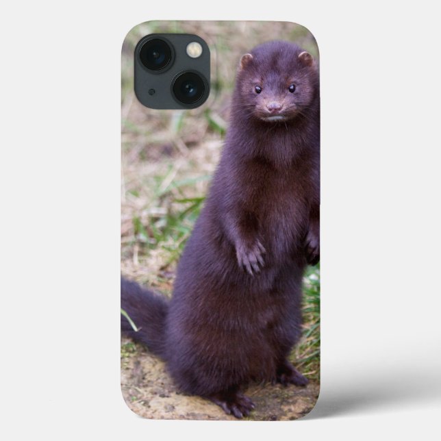 American Mink iPad Case (Back)
