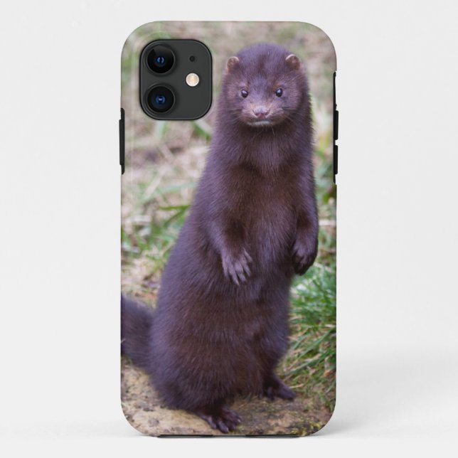 American Mink iPhone 5 Case (Back)