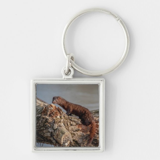 American Mink Keychain (Front)